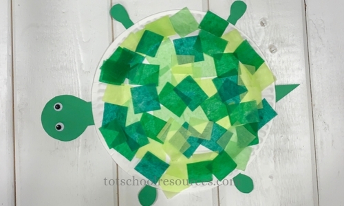 tissue paper turtle craft