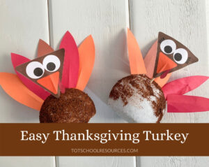 Easy Turkey Craft {3D Styrofoam & paper turkey} - totschoolresources.com