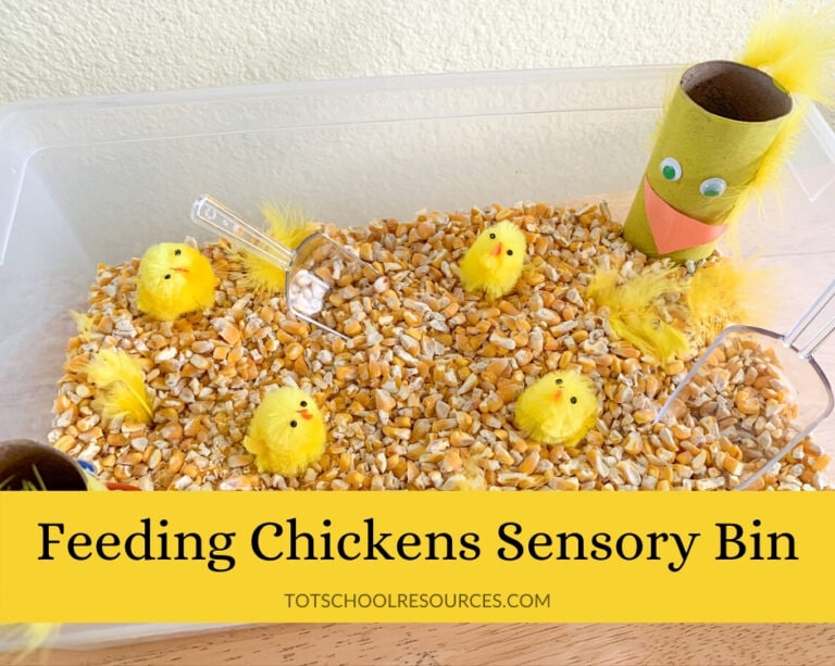 Chicken Sensory Bin title image