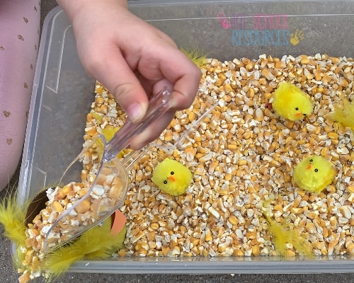chicken sensory bin for toddlers