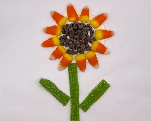candy corn sunflower with stem