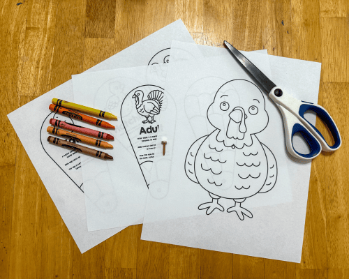 Turkey lifecycle craft supplies