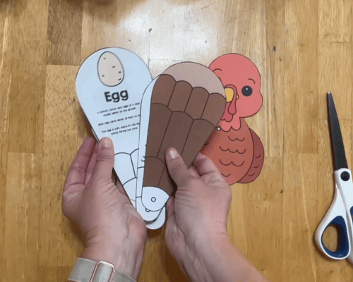 cut out craft pieces