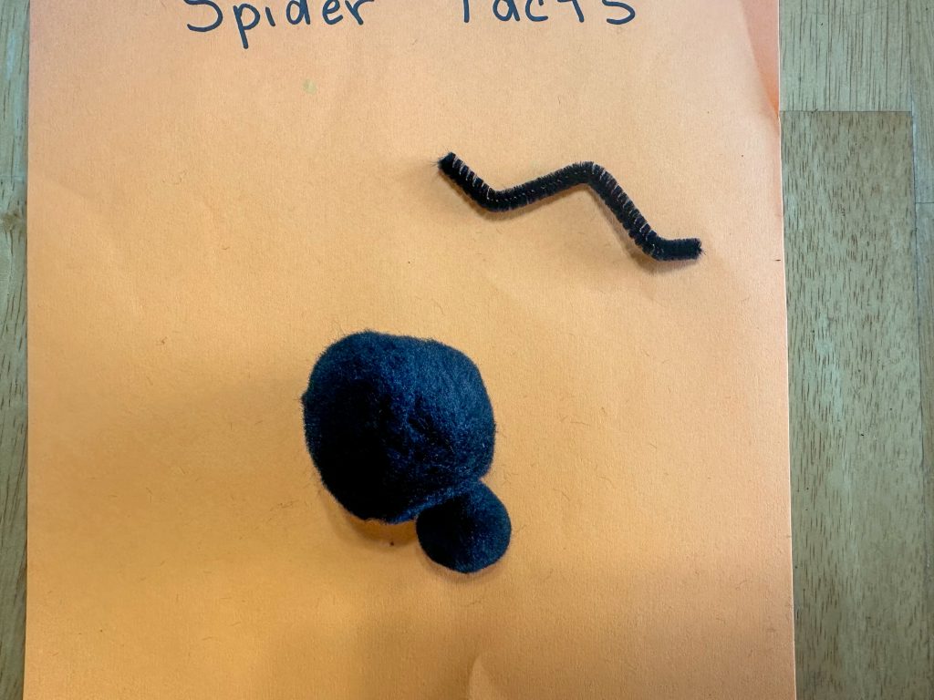 spider craft leg shape